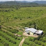 listing image thumbnail with ID 60568