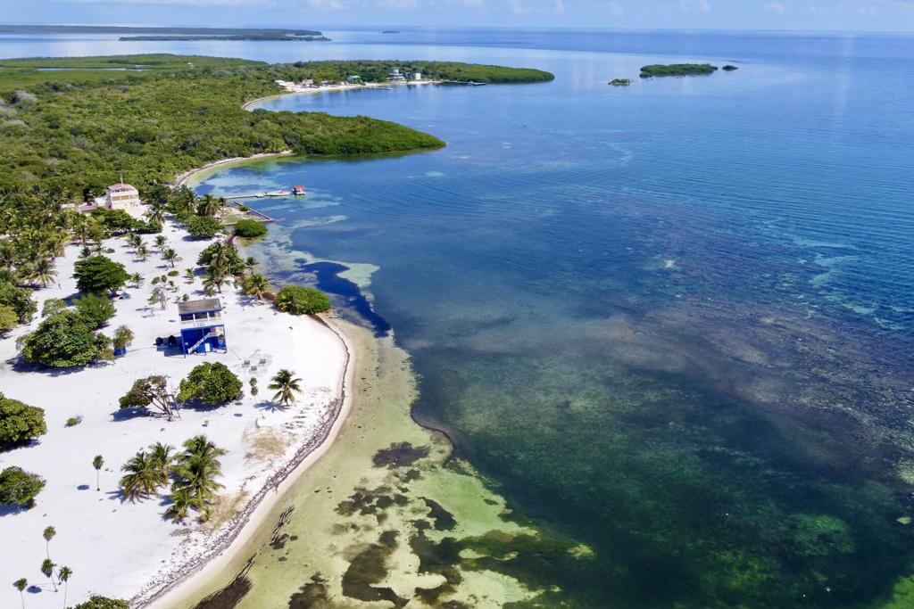 listing image with ID 60715