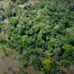 listing image thumbnail with ID 60736