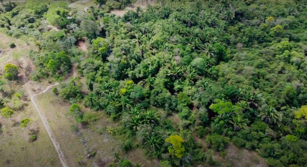 listing image with ID 60736