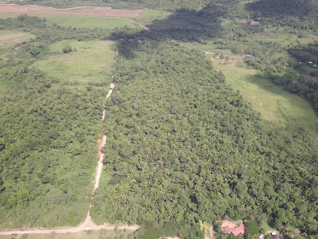 listing image with ID 60634