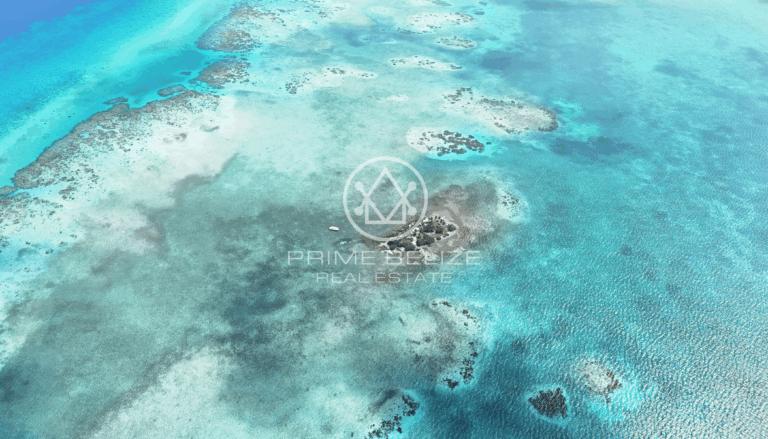 listing image with ID 60902