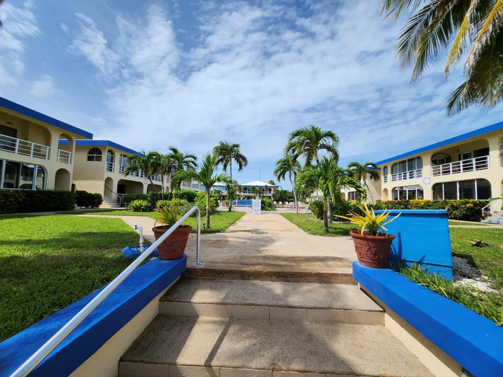 listing image with ID 61636