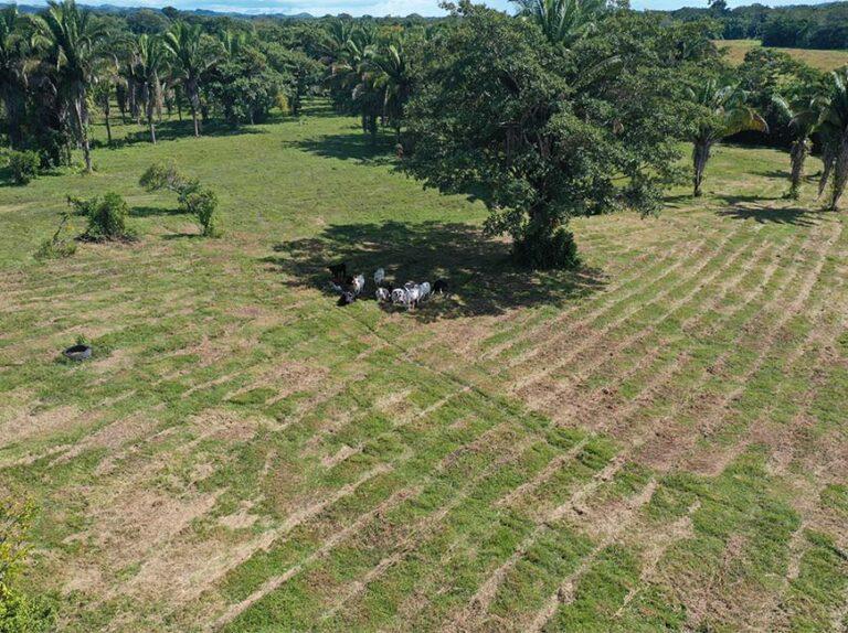 listing image with ID 60876