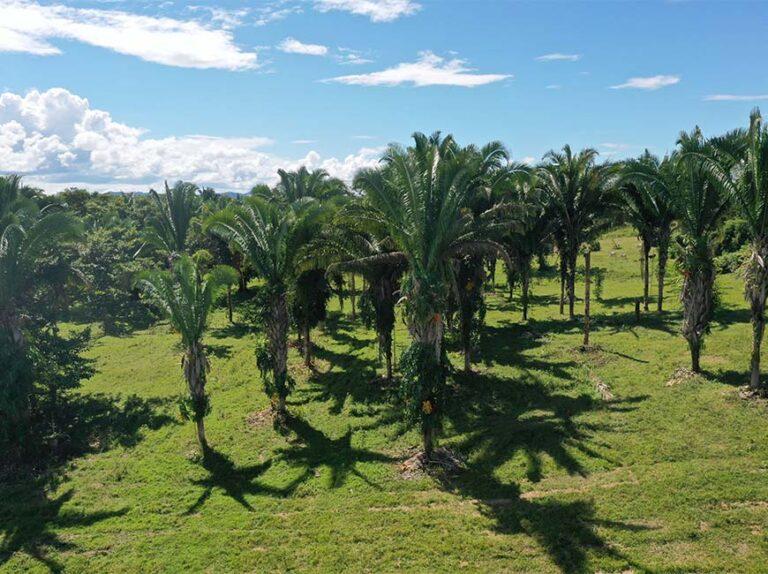 listing image with ID 60878