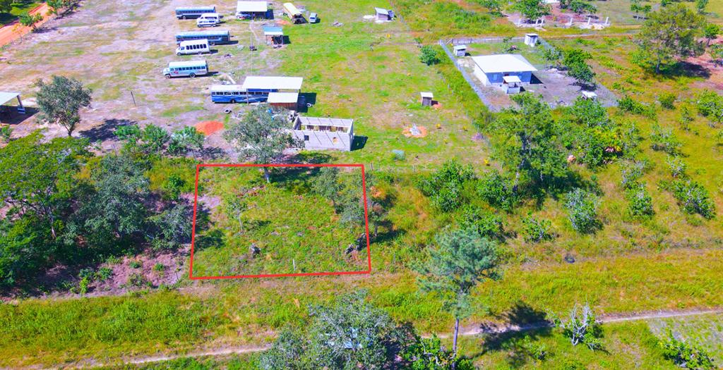 listing image with ID 62095