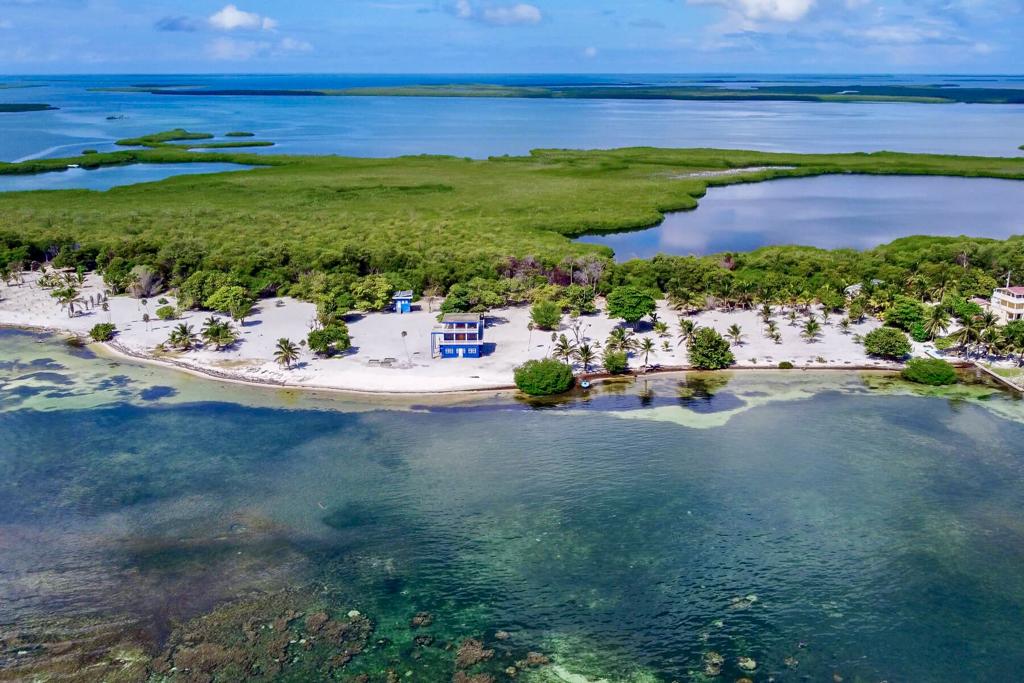 listing image with ID 60703