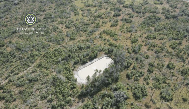 listing image with ID 60855