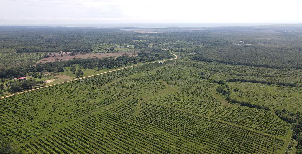 listing image with ID 60578