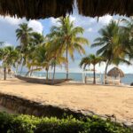 listing image thumbnail with ID 69478