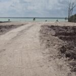 listing image thumbnail with ID 62355