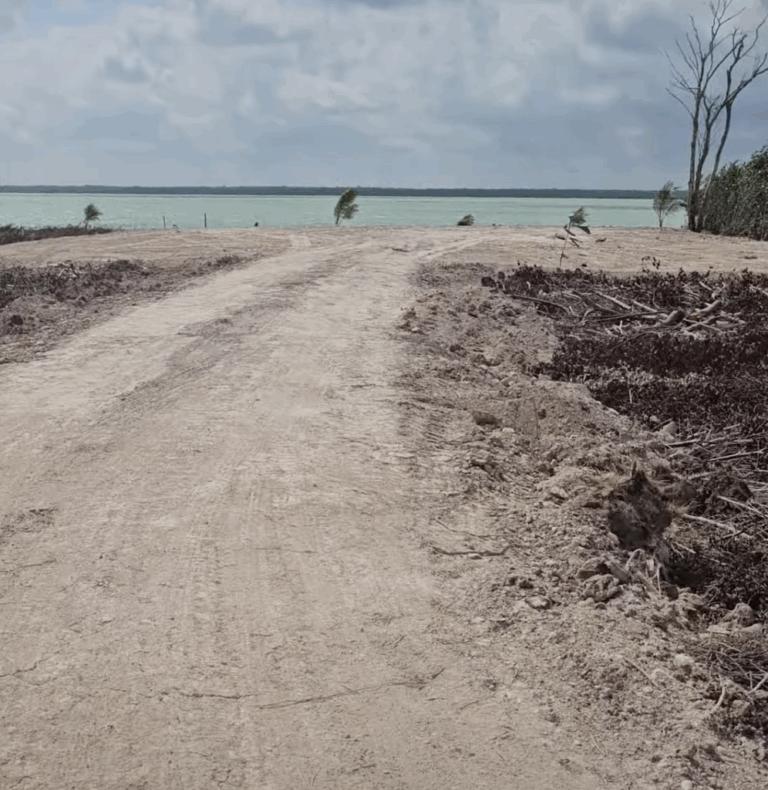 listing image with ID 62355