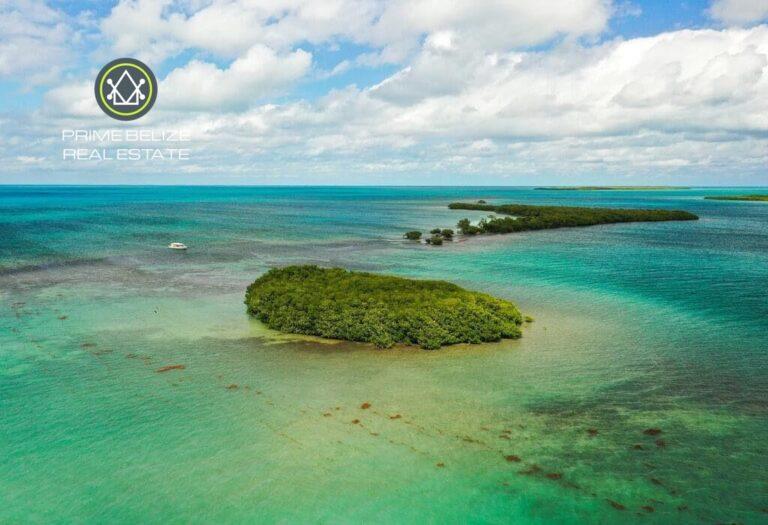 listing image with ID 63128