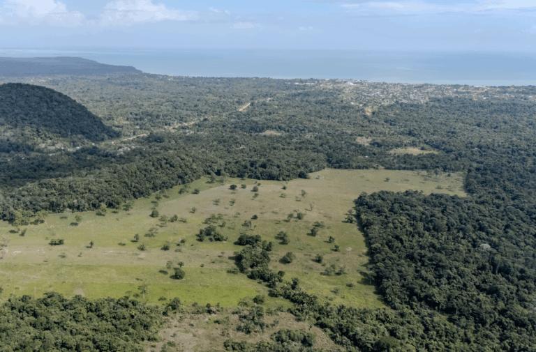 listing image with ID 62569