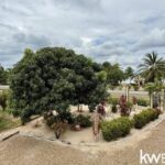 listing image thumbnail with ID 62534