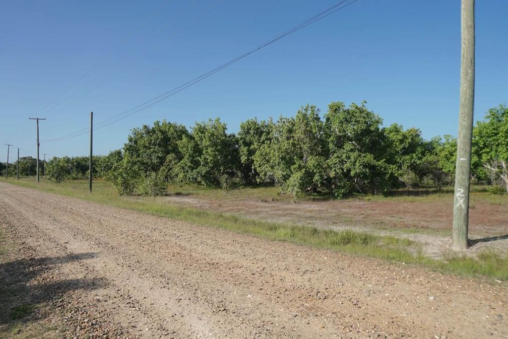 listing image with ID 63185