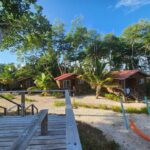 listing image thumbnail with ID 62250