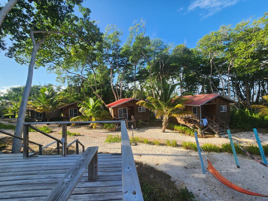 listing image with ID 62250