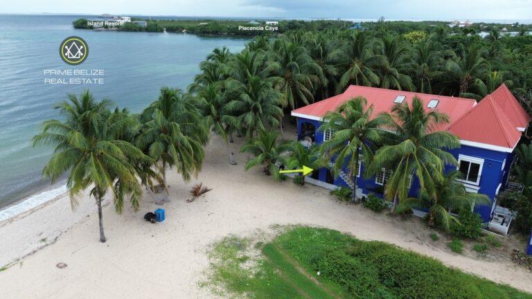 listing image with ID 63152