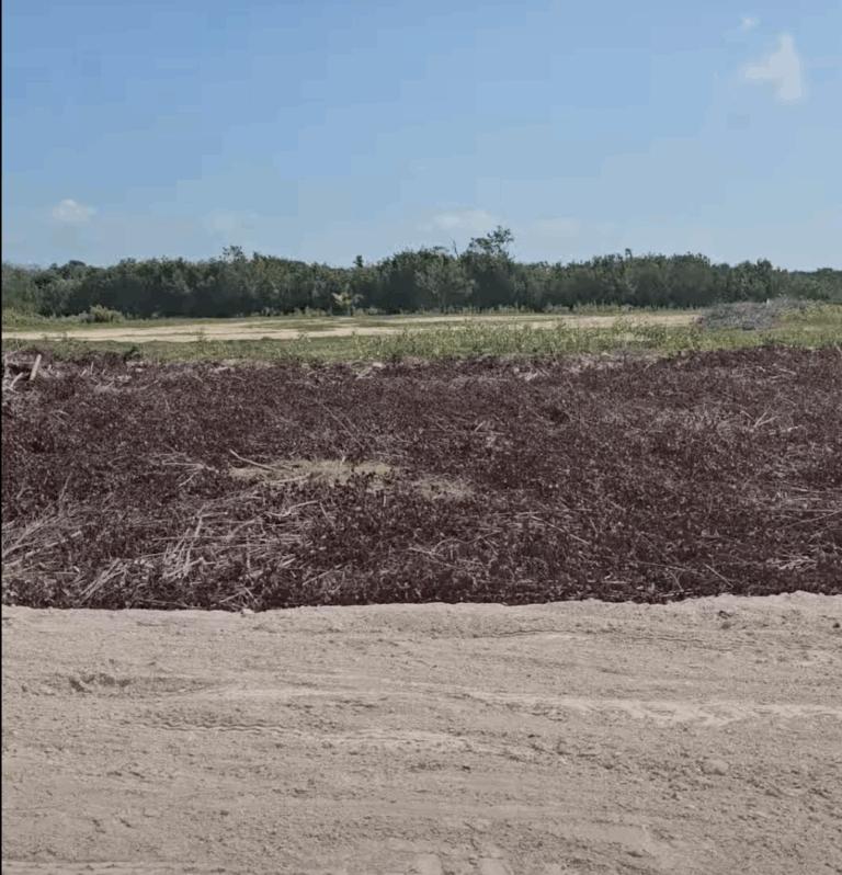 listing image with ID 62353