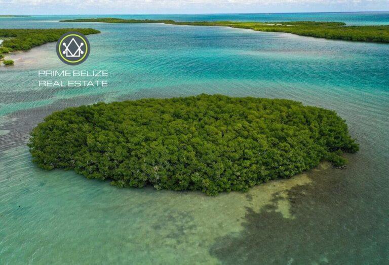 listing image with ID 63130