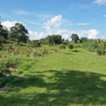 listing image thumbnail with ID 62166