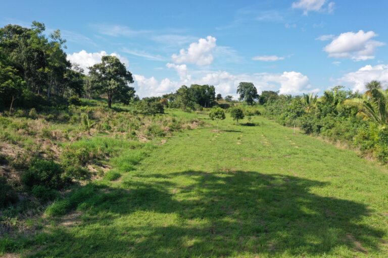 listing image with ID 62166