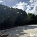 listing image thumbnail with ID 63146