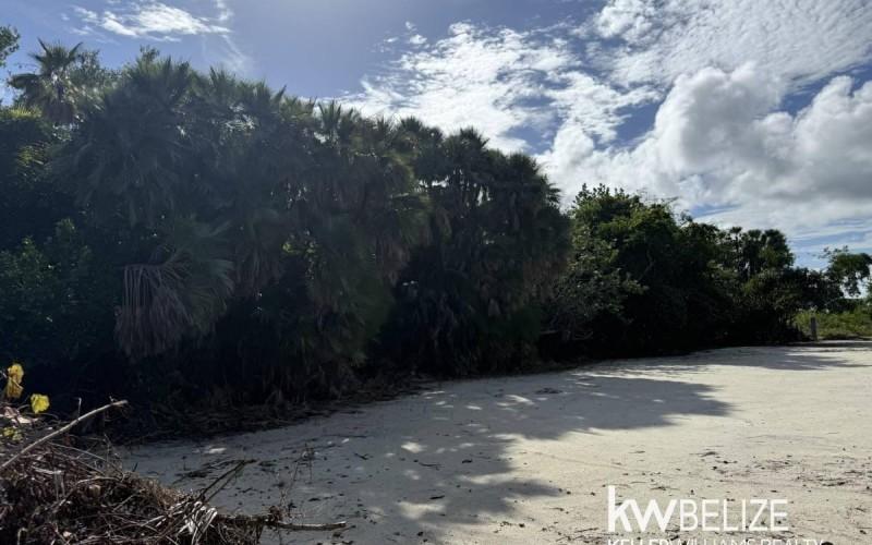 listing image with ID 63146