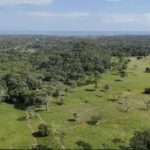 listing image thumbnail with ID 62575