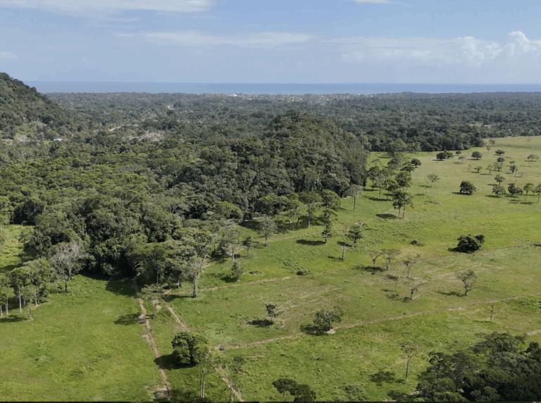 listing image with ID 62575