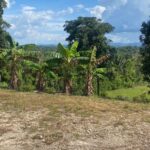 listing image thumbnail with ID 62167