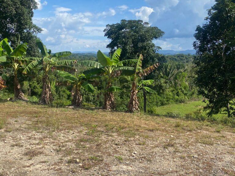 listing image with ID 62167