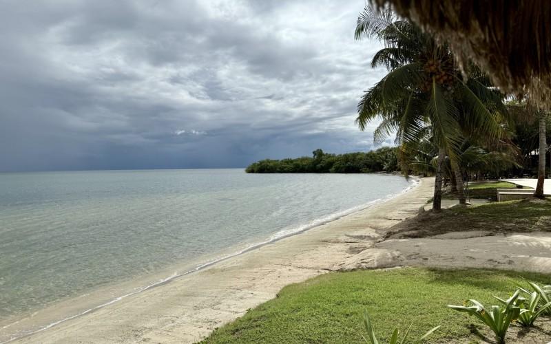 listing image with ID 63483