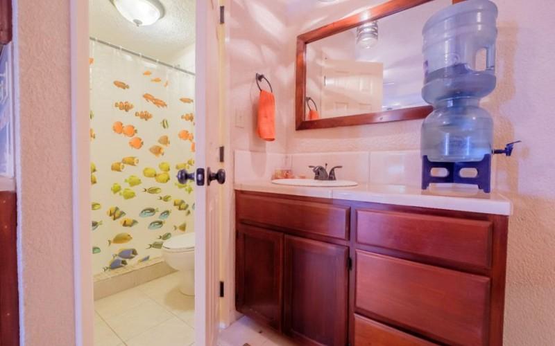 listing image with ID 62849