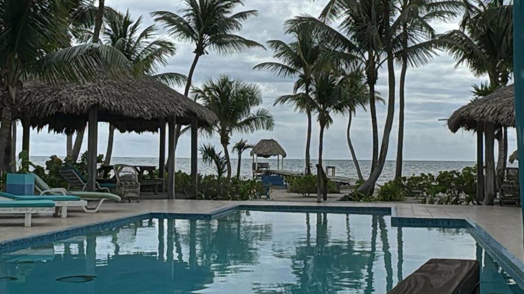 listing image with ID 63307