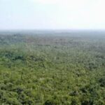 listing image thumbnail with ID 62306