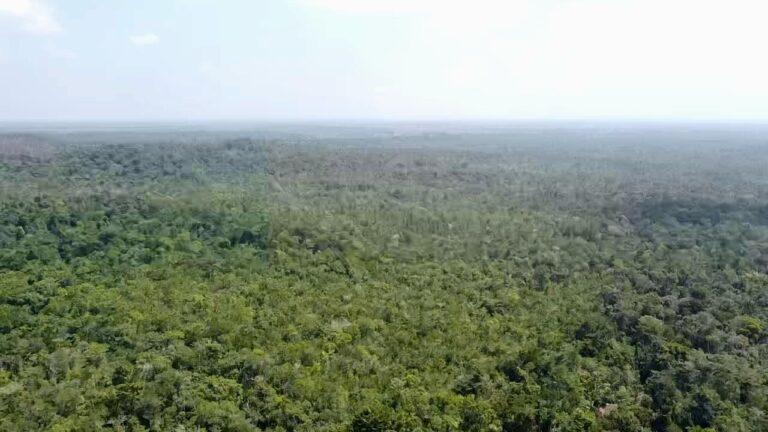 listing image with ID 62306