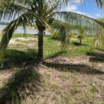 listing image thumbnail with ID 62125