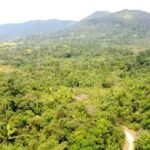 listing image thumbnail with ID 62308