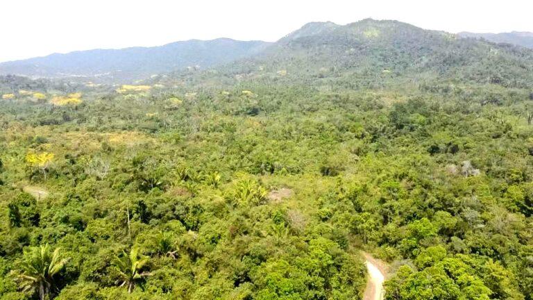 listing image with ID 62308