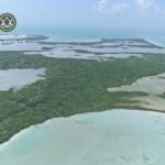 listing image thumbnail with ID 63122