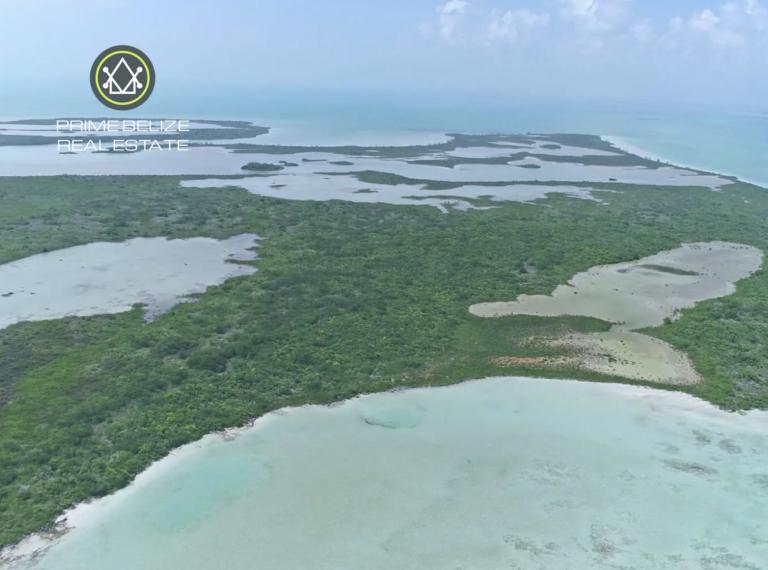 listing image with ID 63122