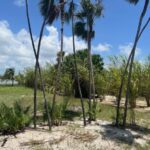 listing image thumbnail with ID 62123