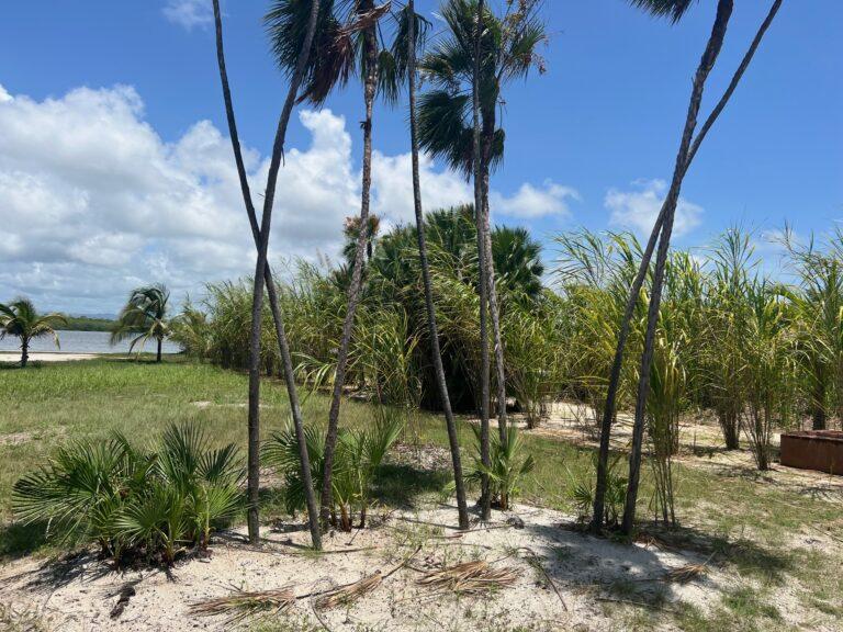 listing image with ID 62123