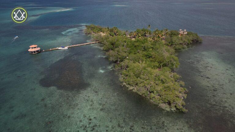 listing image with ID 63453