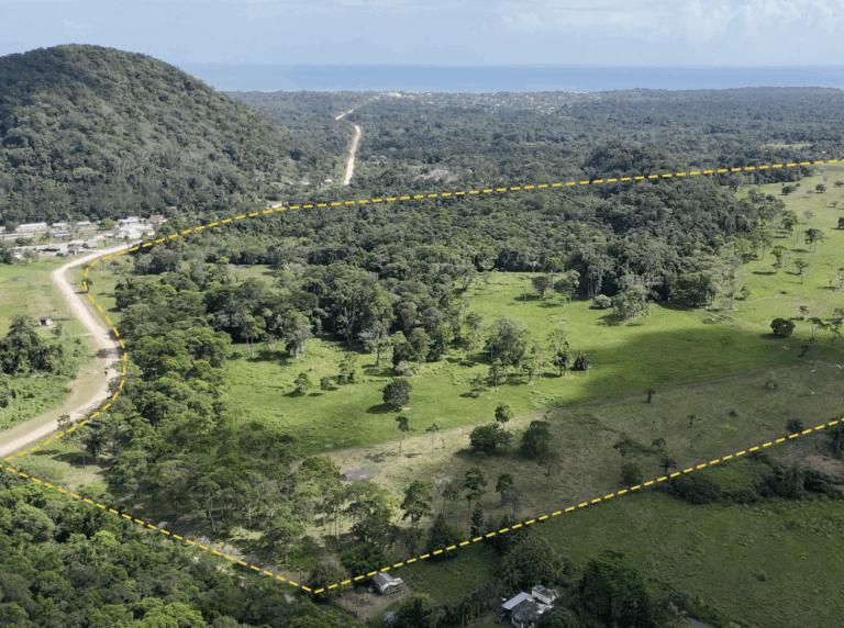 listing image with ID 62577