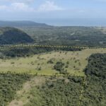 listing image thumbnail with ID 62571