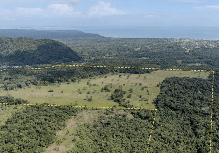 listing image with ID 62571