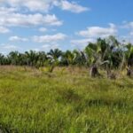 listing image thumbnail with ID 62139